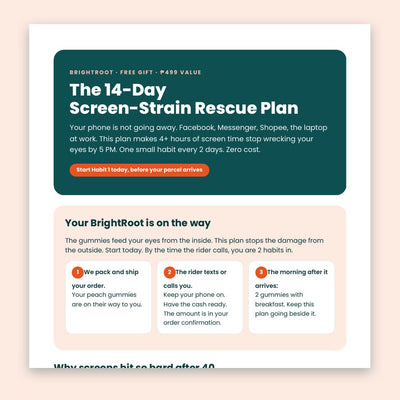 BrightRoot free gift ebook